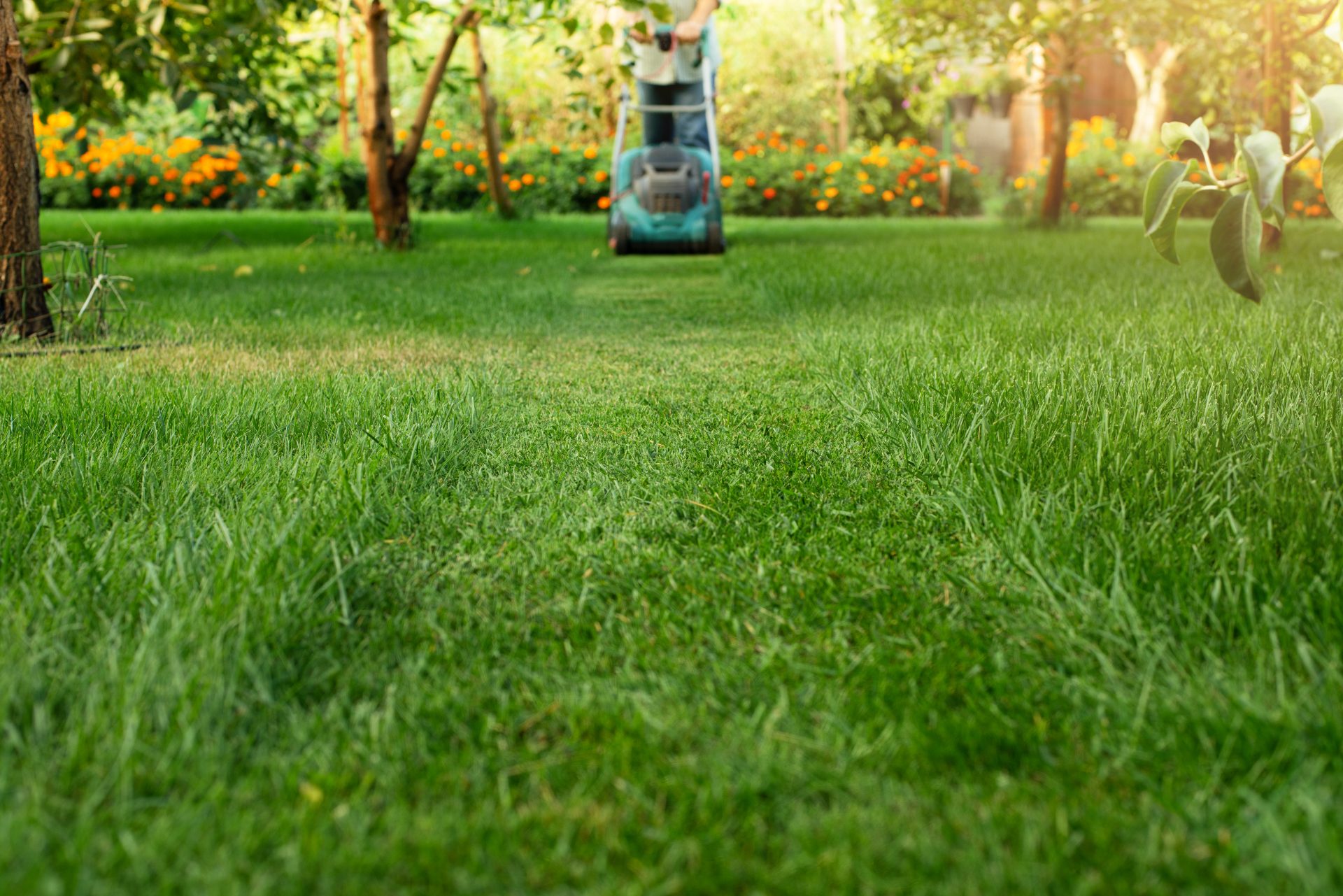 Lawn Mowing Service